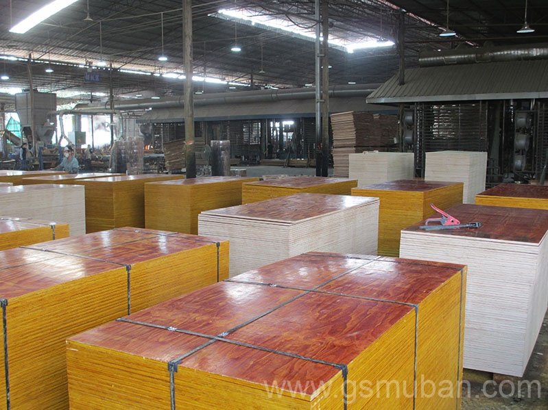 2025年建筑木模板行業新趨勢！