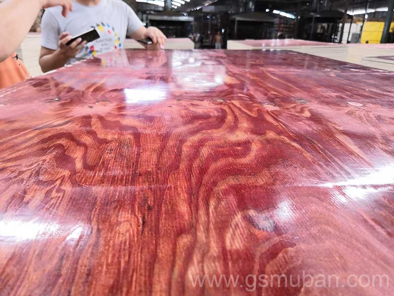 2025年建筑模板市場分析：機遇與挑戰并存！